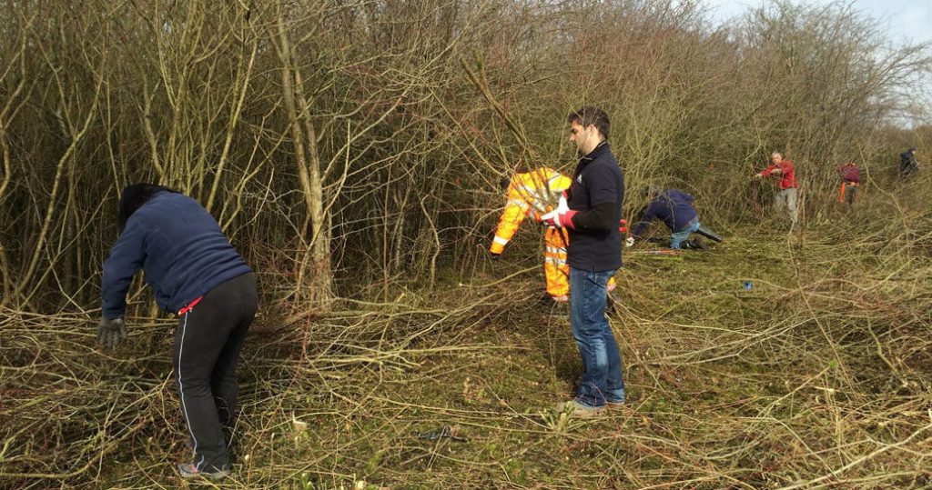 People working at the Duke of Burgundy butterfly habitat