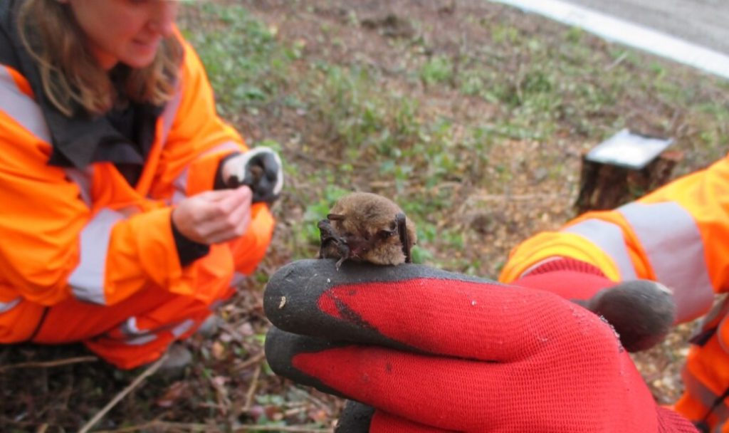 Railway workers holding bats.