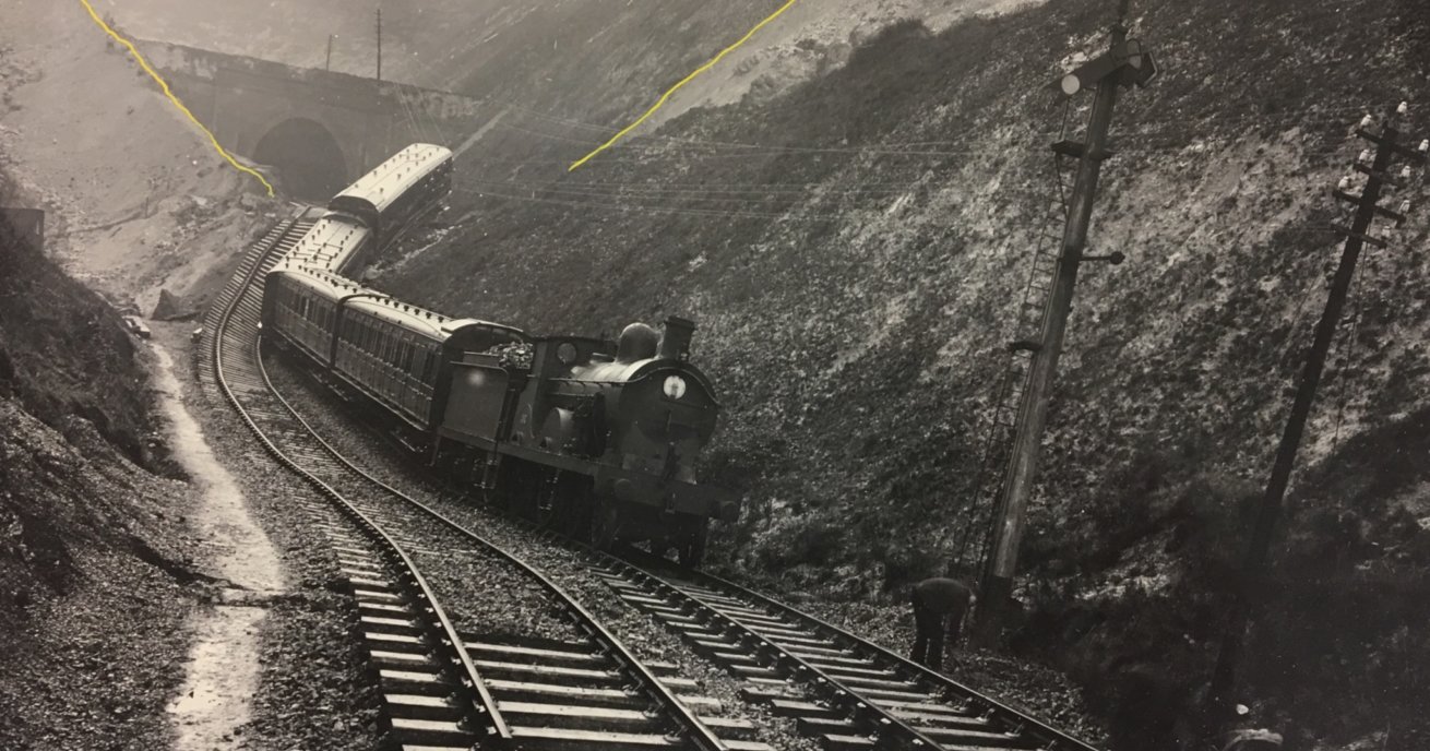 Folkestone Warren: The Great Fall to SSSI