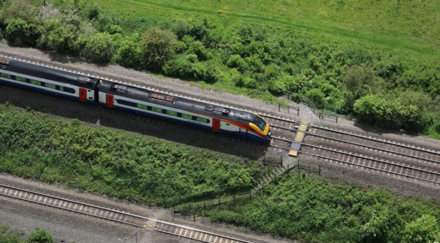 World Environment Day: five positive impacts of the railway - Network Rail