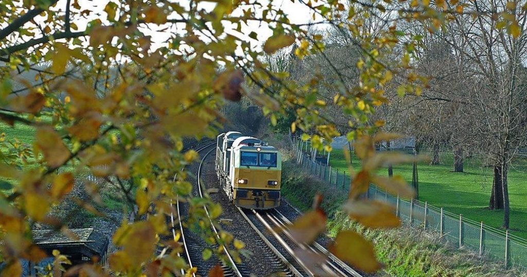 Train travelling on the tracks surrounded by autumn leaves