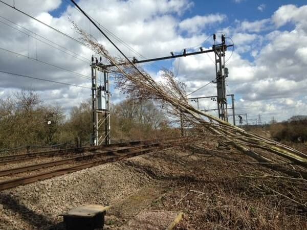 A tree fallen onto the overhead line equipment 