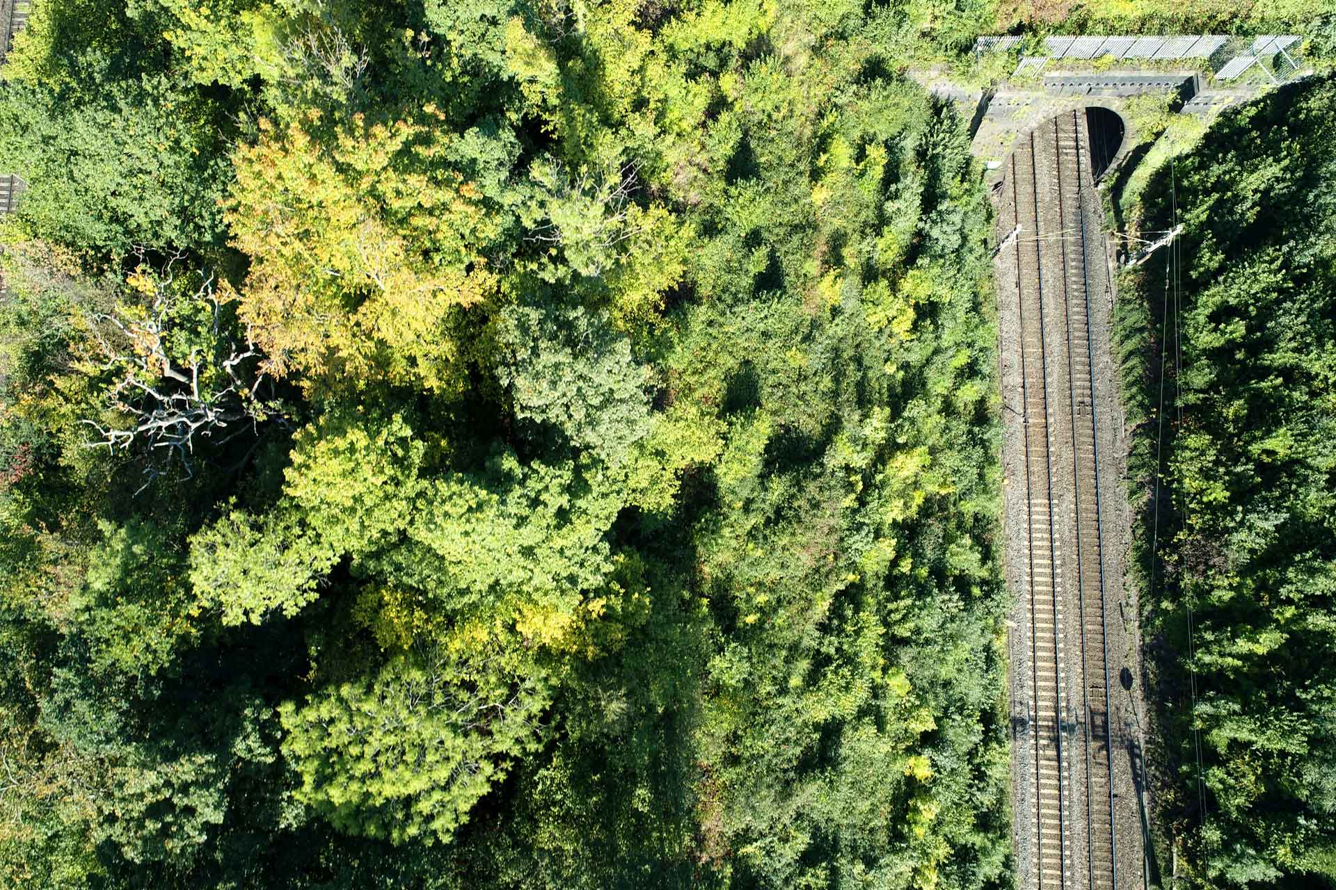 Generic-aerial-view-railway-vegetation