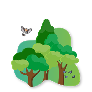 Biodiversity icon, showing trees, butterflies and a bird.