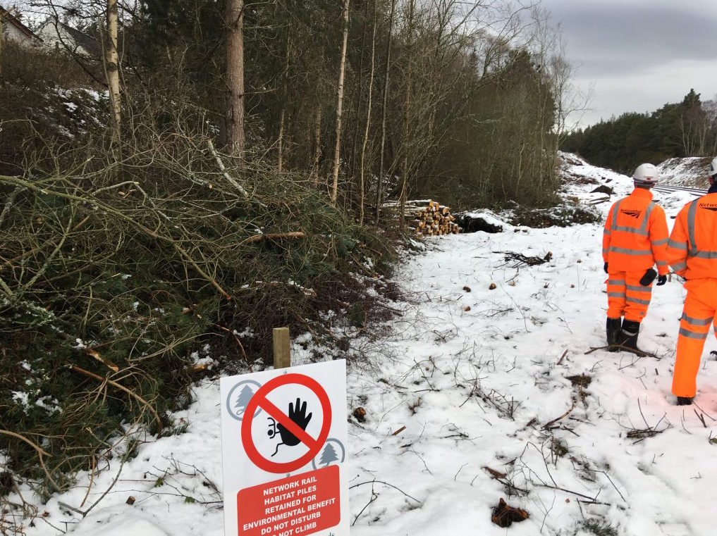Two railway workers in PPE stand in the snow beside trees that are being cut down