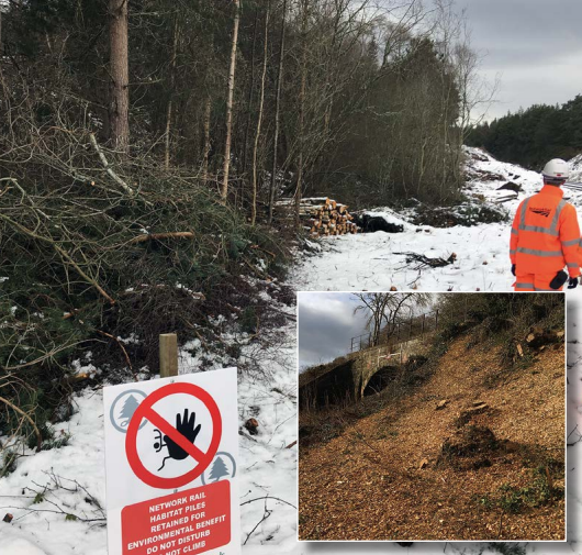 Chopped down timber and wooden chips by the railway in snowy Scotland, daytime