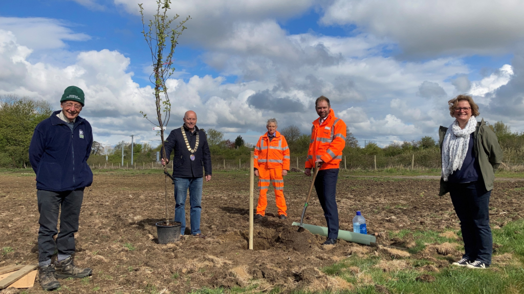 Old Sodbury residents plant a young tree in a new woodland, daytime