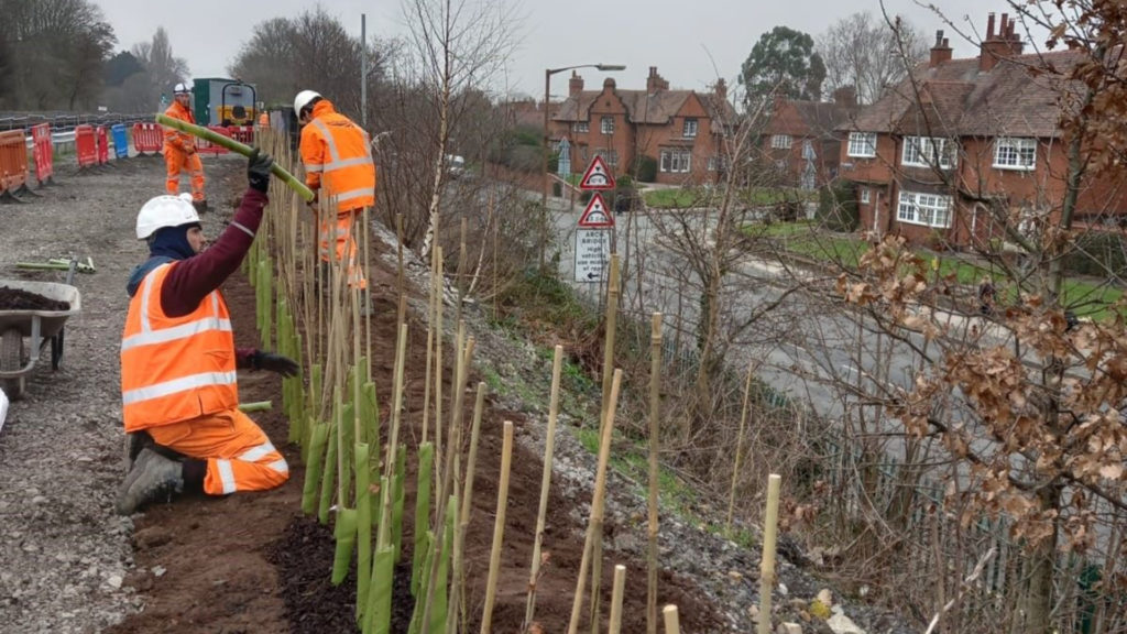 Planting trees alongside the tracks on the Merseyrail network, daytime