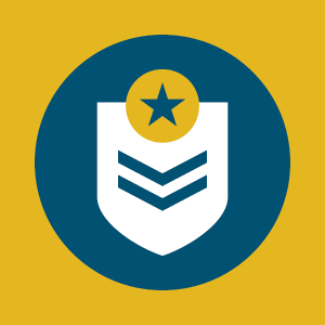 Armed forces icon