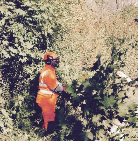 Engineer cutting vegetation next to the railway