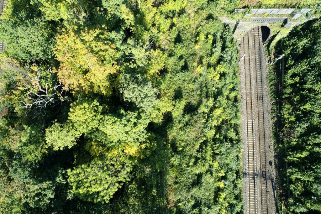 Aerial view of the railway beside lots of green vegetation