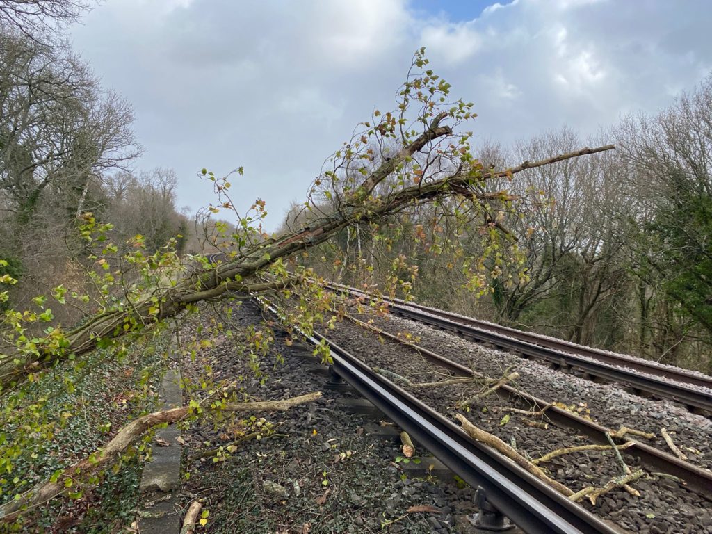 Tree fallen onto the railway tracks on our Wessex route