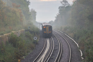 Leaves on the line - Network Rail