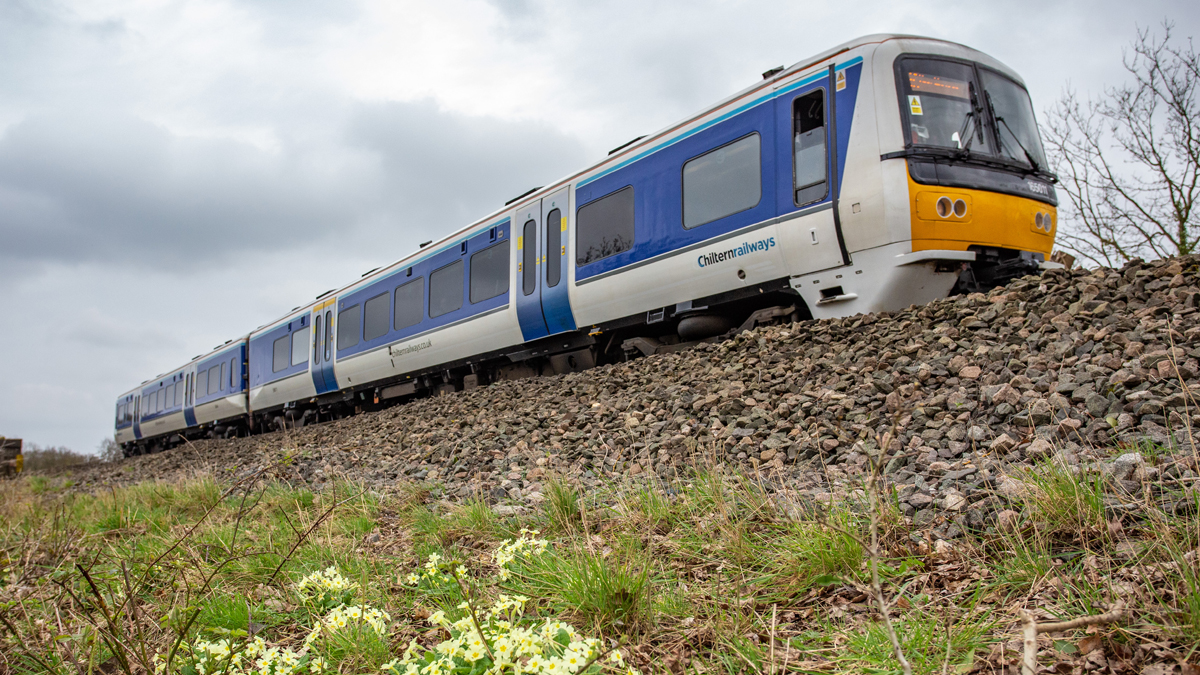 Chiltern Open Rails Boosting biodiversity with the help of our trees - Network Rail