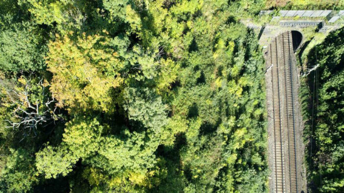 Aerial-railway-vegetation