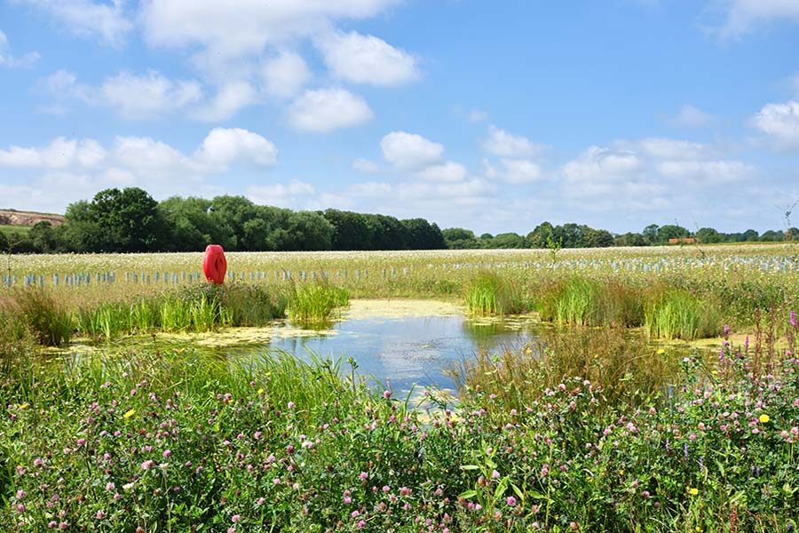 East-West-Rail-habitat-creation-biodiversity